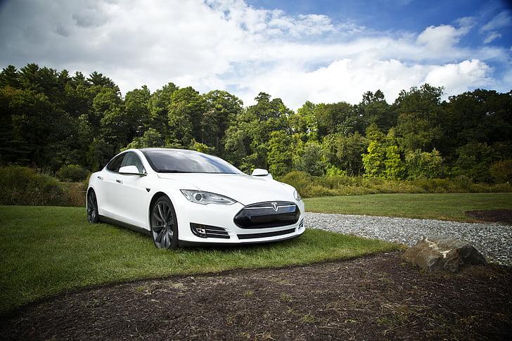How Tesla's slipping sales affect the choices and prices ‍for electric​ car buyers